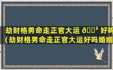 劫财格男命走正官大运 🌳 好吗（劫财格男命走正官大运好吗婚姻如何）